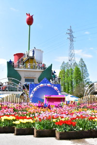 花の息吹 2019/05/02 10:35:44