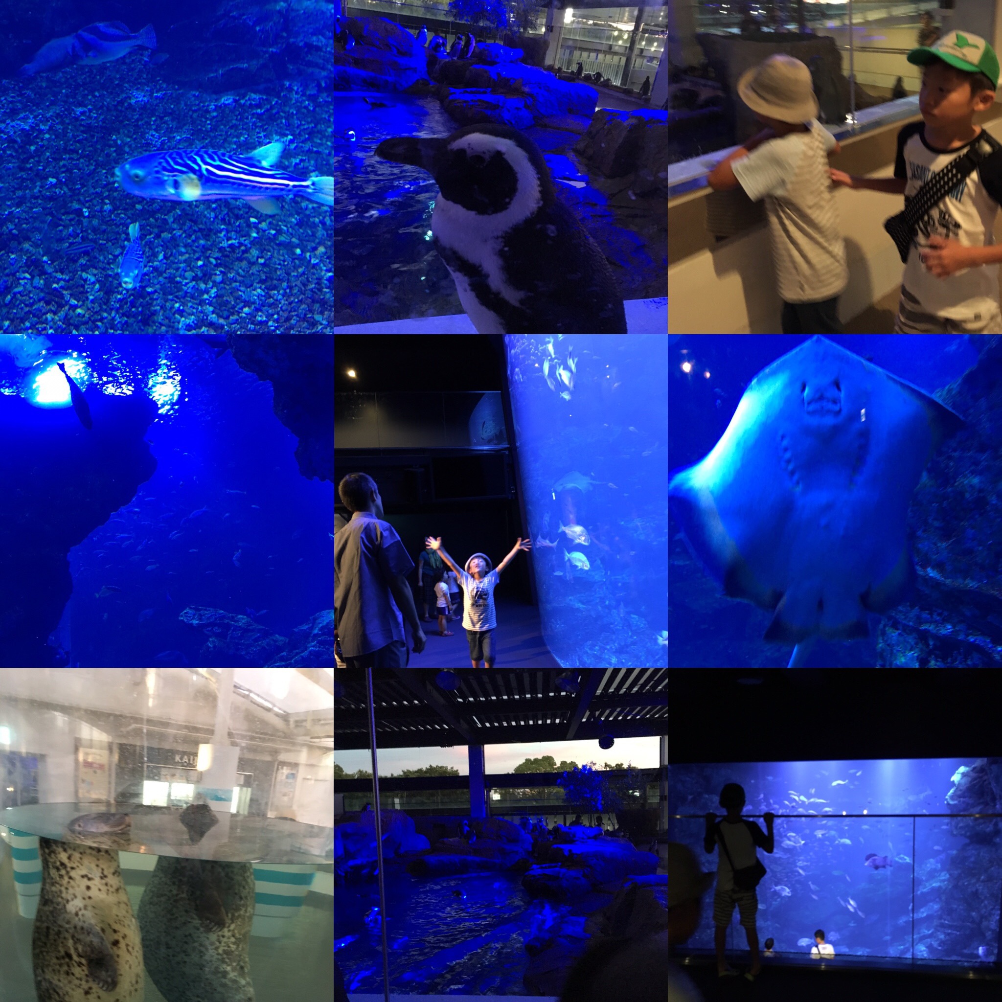 京都水族館2 京都水族館2