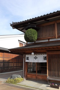 しぼりたて新酒