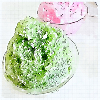 サクサクかき氷。