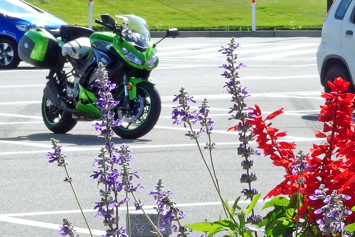 Ninja1000